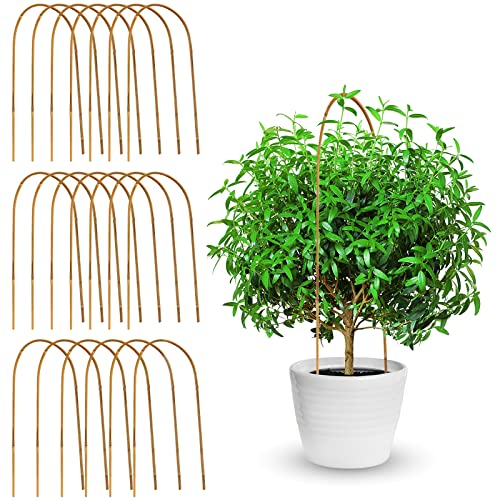 Coloch Lot de 20 supports de treillis en U en bambou de 40,6 cm pour plantes en pot, fleurs grimpantes et vignes, lierre, plantation extérieure