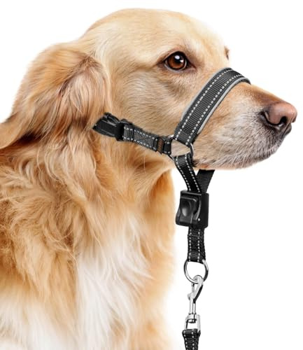 BARKLESS Soft Nylon Dog Head Collar for Large Medium Dog, Reflective Padding Head Halter for Training, Adjustable Muzzle Leash No Pulling, Jumping, Nose Leash Ideal for Walking (Black, M)