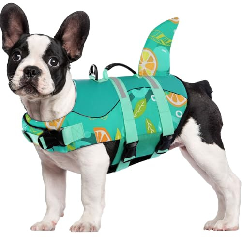 CITÉTOILE Gilet de Sauvetage pour Chien, Gilet de Sauvetage pour Chien avec poignée et réfléchissant, avec Une Bonne flottabilité, léger et sûr pour Les Sports Nautiques, Vert, Le Citron, M