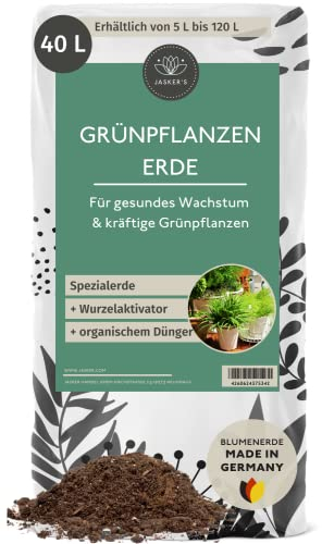 Bio Grünpflanzenerde 40 L (2x20L) - Blumenerde Zimmerpflanzen Erde aus 45% weniger Torf - Pflanzenerde mit Dünger - Zimmerpflanzenerde für Grünpflanzen