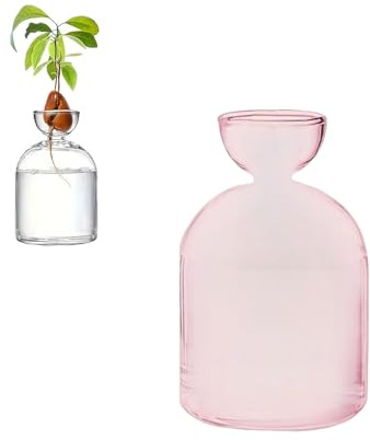 Colorful Avocado Seed Hydroponic Vase, Glass Avocado Sprout Planter Vase, Avocados Tree Propagation Container, Landscape Bottle for Water Plants Gardening Lovers Home Decor