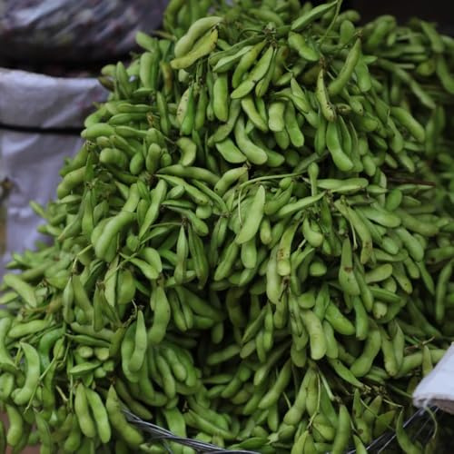 semillas orgánicas de frijoles edamame - con resistentes decorativas jardín orgánicas trepadoras 30pcs
