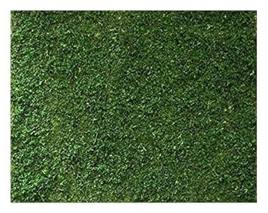 Tavoletta Base Foglio Muschio per Fondo Presepe 40x60 centimetri