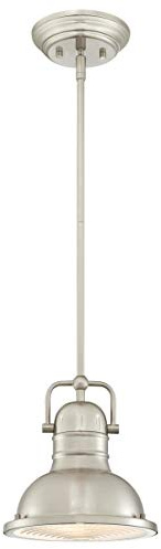 Westinghouse Lighting 63346 Boswell enlampa för inomhusbruk, borstad nickelfinish med prismatiskt glas