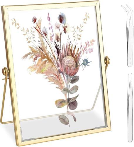 RONMOSNEA Glas Metall Fotorahmen,15 X 20 cm Retro Gold Glasbilderrahmen,Bilderrahmen Glasrahmen für Gepresste Blumen,Bilderrahmen Gold für Zuhause und Büro Pflanzenprobe,Getrockneter Blumen