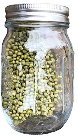 DINSOAVR Pot de germination avec couvercle en acier inoxydable 304 à large ouverture pour germinateur biologique pour luzerne et haricot mungo