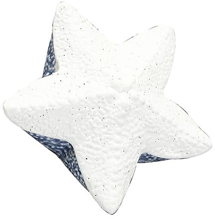 ROMISBABA Petite Boîte À Bijoux En Porcelaine Blanche Inspirée De L'océan Avec Couvercle Pour Vos Boucles D'oreilles Et Pendentifs Organisez Votre Collection De Bijoux