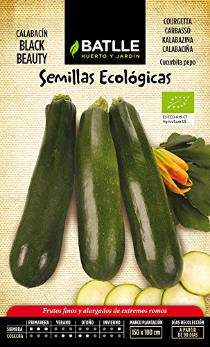 Calabacín Black Beauty - ECO