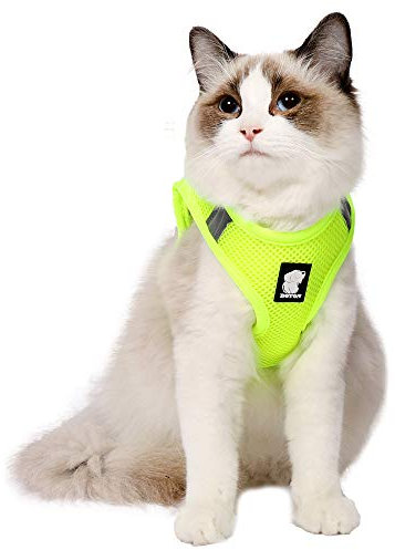 Katzengeschirr und Leine Ultraleicht für Fluchtschutz Verstellbarer weicher Netzschritt in gepolsterter Polsterung Laufweste Jacke für Kätzchen Haustiere Welpe