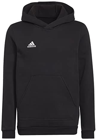 adidas Unisex Kinder Entrada 22 Sweat Hoodie, Black, 164