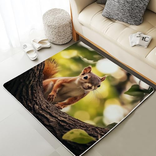 Xuxangti Cute Squirrel Area Rug for Bedroom, Woodland Animal Rug 4x6 for Living Room, Wild Rodent Carpet Non Slip Low Pile, Room Decor Rug, Soft, Machine Washable