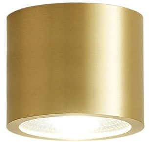 LCSMVLQ LED Dimmable Downlight,H65 Brass Surface Mounted Spotlight Ceiling Light, 7W,9W Anti-Glare Downlight, Golden Indoor Living Room, Bedroom,Bathroom, Fittings