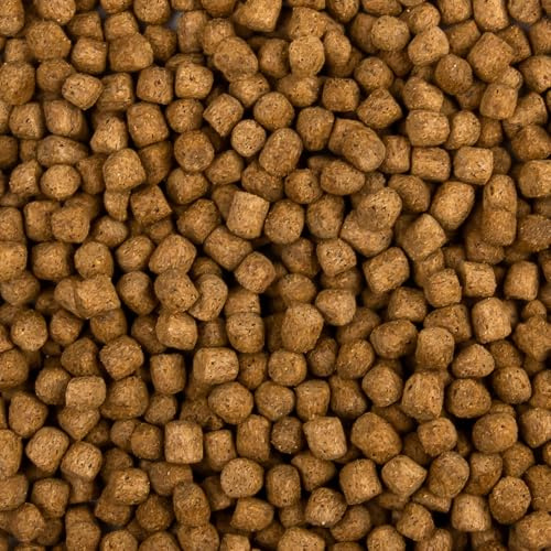 Top Koi Wachstumsfutter für Koi 15kg 6mm schwimmendes Ganzjahres Futter für Koi und Teichfische für ausgewogene Fisch-Ernährung mit Fischöl