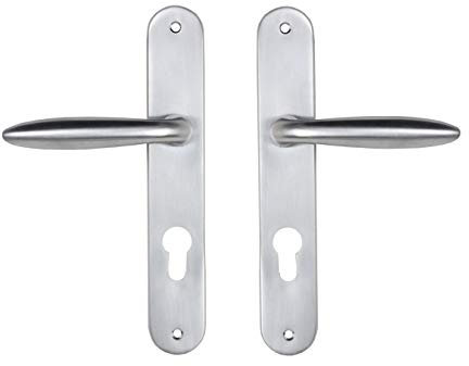 Bricard 984051 Ensemble poignées zamak sur Plaque Esquisse pour Porte d'Entrée (pour Cylindre européen), Argent