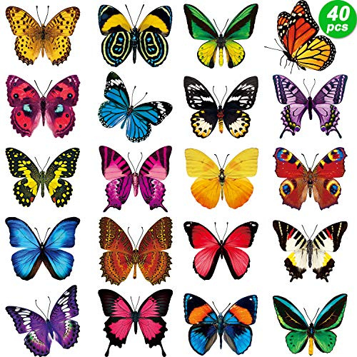 Outus 40 Pieces Butterfly Window Stickers for Glass Butterfly Window Clings Anti-Collision Windows Decals Spring Decor to Prevent People and Bird Strikes on Windows Glass Stickers Door Decals Decor