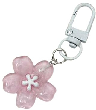 FANSHINUO Eleganter Schlüsselanhänger aus Kunstharz mit abnehmbarem Karabinerhaken für Schlüssel, Geldbörsen und als Geschenk