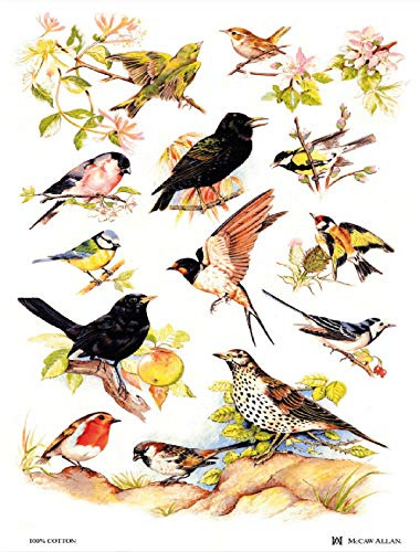 Samuel Lamont Geschirrtuch, Einheitsgröße, Weiß