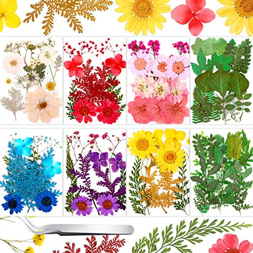 Nuanchu 109 Pcs Dried Pressed Flowers for Resin DIY Crafts