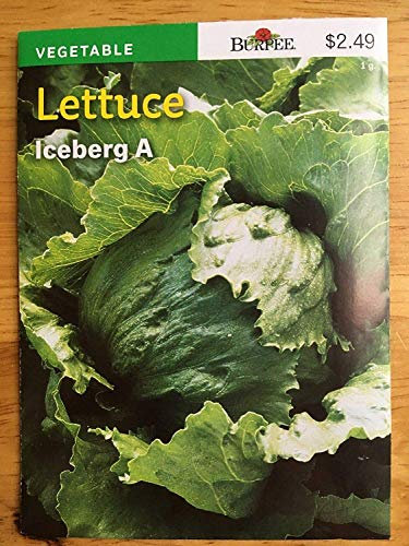 Germinazione I Semi: Acquisto 5 Pacchetti: Nuovi 2018/19 Burpee Seeds lattuga Iceberg Risparmio Enorme 25-50% + Sh Libero:Graines