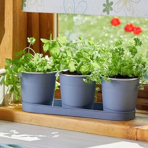 Marco Paul Set of 3 Metal Herb Plant Pots with Drip Tray Traditional Indoor Windowsill Slate Grey Planter Box for The Kitchen Grow Your Own Herbs for Cooking
