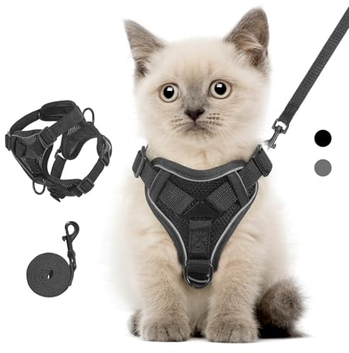 VavoPaw Set di Pettorina e Guinzaglio per Gatti, Pettorina Regolabile per Gattini con Striscia Riflettente in Rete Traspirante, Gilet di Sicurezza a Prova di Fuga per Gatti Cuccioli, XS Nero