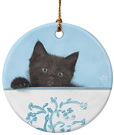 GRAPHICS & MORE Black Kitten Cat in Bucket Tin Pail Porcelain Holiday Christmas Tree Ornament - 2.8 (7.1 cm)