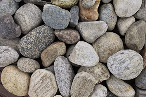 Gartenwelt Riegelsberger 5 kg Bergkies gewaschen Körnung 30-60 mm bunt Mix Rheinkies Kieselsteine Zierkies Steine Deko Garten Wegkies