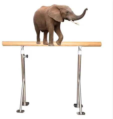 Barra de Ballet Ajustable e Independiente de 80-120 cm, portátil para Estudio en casa, Ideal para estiramientos de Ballet y Entrenamiento físico para niños y Adultos (Negra, 100 cm)