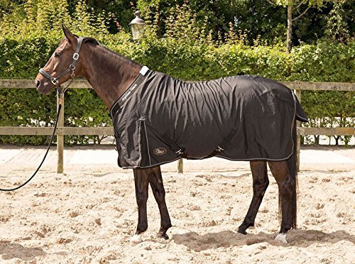 Stable blanket highliner 0 g fleece lining.