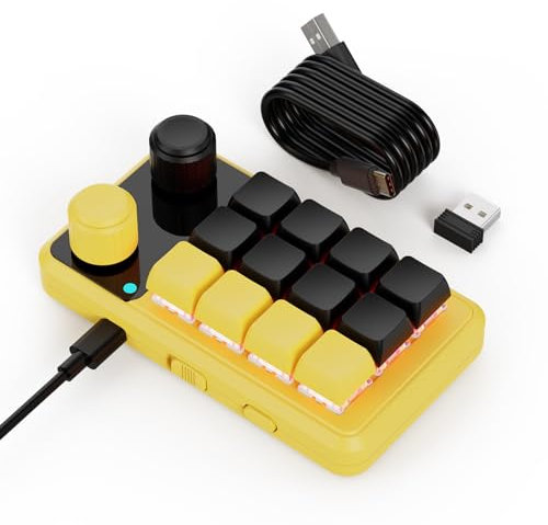 Mini Macro Programmable Keyboard, One Handed Gaming Programmable Custom Keyboards Multifunction 12 Keys 2 Knobs Compatible for Mac OS,Windows,Vista, Macro Keyboard Suitable for Office Gaming Lab
