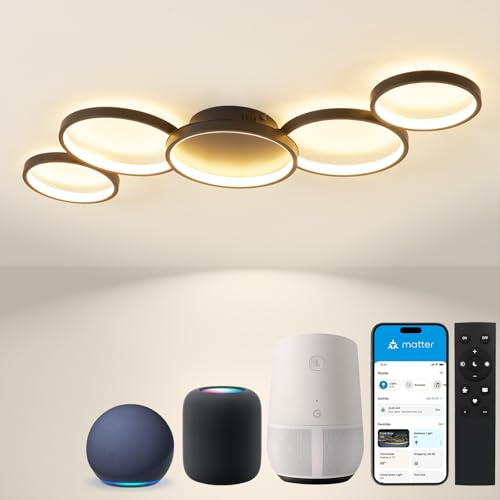 BAYHT taklampa med fjärrkontroll, vardagsrumslampa med matt kompatibel med HomeKit, Alexa, Google och IFTTT, 50W modern LED-taklampa för vardagsrummet i sovrummet (100 cm, svart)