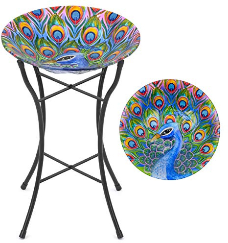 CHRISTOW Glass Bird Bath, Peacock Design
