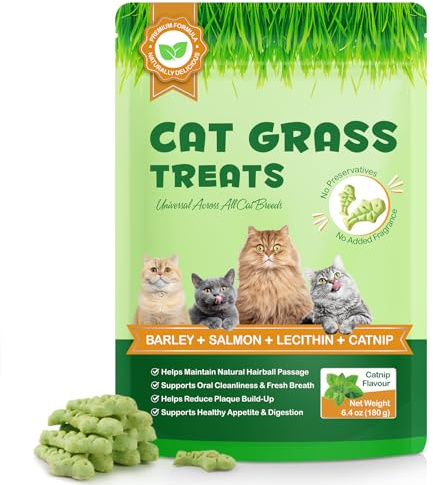 180g Galletas de Hierba Gatera y Cebada para Gatos – Crujientes con Salmón – Anti Bolas de Pelo, Digestión y Limpieza Dental – Naturales, Sin Aditivos – para Gatos con Estómago Sensible
