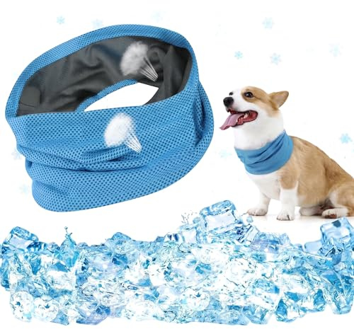 Bandana Rafraîchissant pour Chien, Collier de Refroidissement Respirant en Soie Glacée, Foulard Chien Rafraîchissant pour Été, Réglable, Bleu Ciel, Taille M