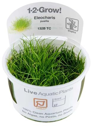 Tropica Eleocharis acicularis 'mini' 1-2-GROW!