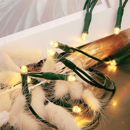 hellum LED Mini Lichterkette Innen, 100 mini LED Lichter, 1485cm beleuchtete Länge, Lichterkette Strom mit Stecker, Kabel grün, warmweiß Innen, für Weihnachtsbaum 577600