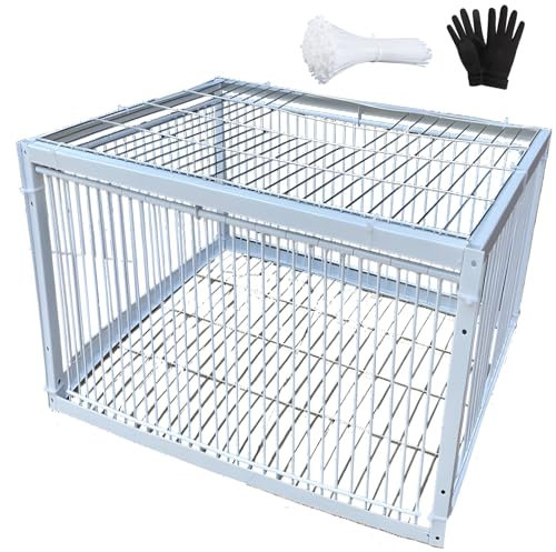NUACOS Jaula Trampa Palomas con Tragaluz para Exteriores,Fácil Montaje Trampa para Palomas,Trampa Humanitaria para Gorriones Codornices Pollos Pájaros Halcones,Blanca,60x40x26cm