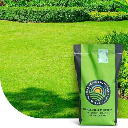 Perfection: Semences de gazon d’ornement | 1 kg pour 50 m² | Robuste et esthétique | Pour le soleil et l'ombre | Rapide et durable