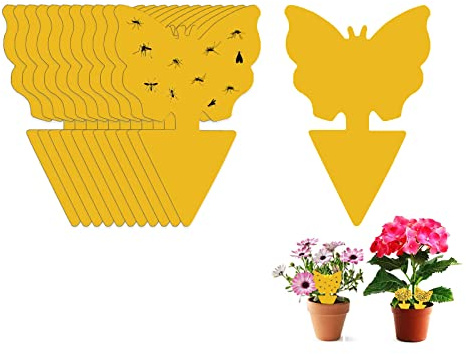 Trampa adhesiva para moscas de la fruta, 12 trampas para mosquitos de hongos, trampas para insectos, plantas de protección amarillas para cocina, interiores y exteriores, captura moscas blancas