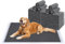 Flying Paws Trainingsunterlagen,Einweg-Welpenunterlagen,Super Absorbierend und Auslaufsicheres,Aktivkohle Hunde PIPI Matten,Puppy Pads für Training,60×90cm,XL-50Stück