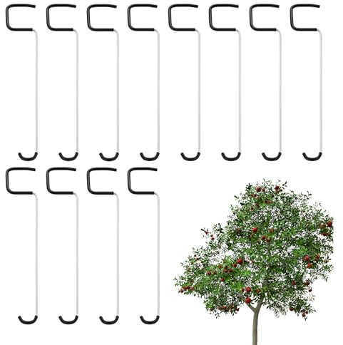 Integri para árboles frutales - Robust Branch Bend, herramienta para cereza, pera y manzanos | Ángulo de rama ancho para un crecimiento de ramas más fuerte, circulación de aire am
