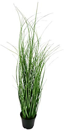 Klocke Kunstpflanzen Kleines Dekogras im Topf - Künstlich - Höhe 60cm
