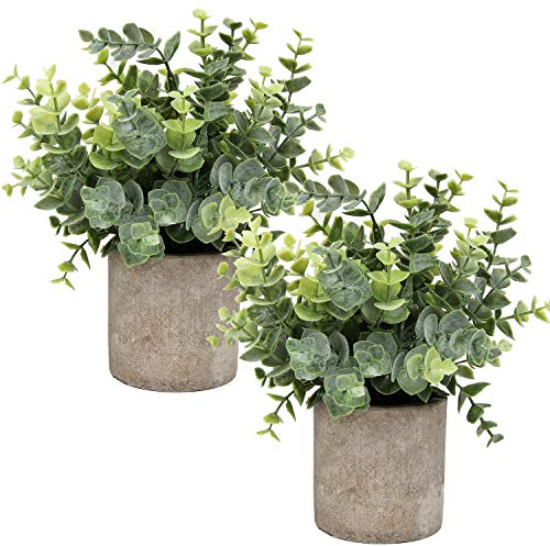 Flojery Mini Potted Plants Artificial Eucalyptus Boxwood Rosemary Faux Herbs Small House Plants 8.3-9 Tall for Indoor Greenery Tabletop Décor Centerpiece (Sprayed Eucalyptus)