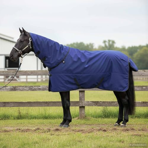 Mokuyary Coperta equina verde scuro e nero 135 cm poliestere coperta per cavalli, cavallo, esterno e stalla -A