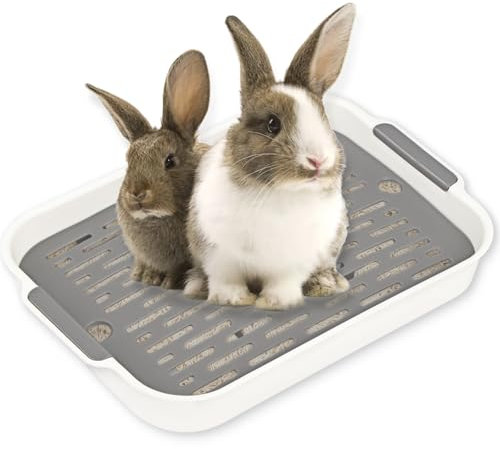 Tablett Hasentoilette, Kaninchen Toilette, Kaninchentoilette, Katzenklo Groß, Klo Ecke für Kleintier Hasen Meerschweinchen (Weißes Grau-Groß)