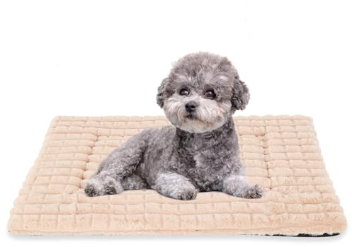 BVAGSS Cuscino per Cani, Ultra Morbido Materassino Lavabile per cani, Base Antiscivolo,Ortopedico Letto per cani Cuscino Cane XH082 (100x70cm,Albicocca)