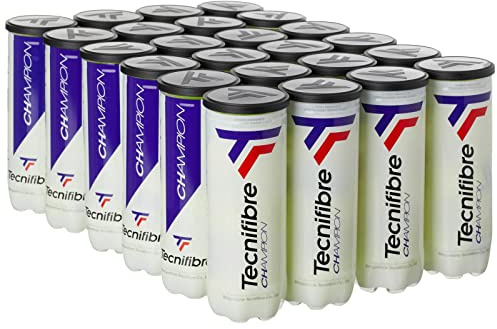 Tecnifibre Champion Tennis Balls, Case