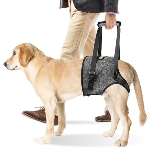 Harnais De Levage pour Chien, Réglable Chiens Harnais avec Poignée, Harnais De Soutien pour Pattes Arrière, Harnais pour Pattes Arrière pour Chiens De Petite, Moyenne Et Grande Taille Blessée (XL)