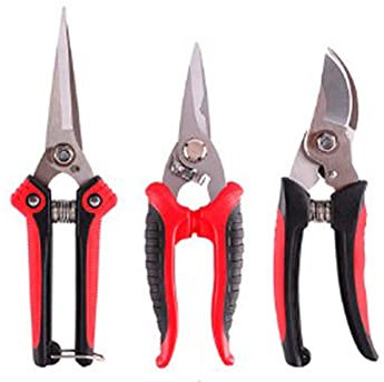 Ausla Gardening Professional Shears Shears Ciseaux Coupés sans Effort les Branches jusqu'à 2,5 Cm avec des Lames en Acier Inoxydable et le Mécanisme de Printemps pour la Coupe des Arbres Bonsais