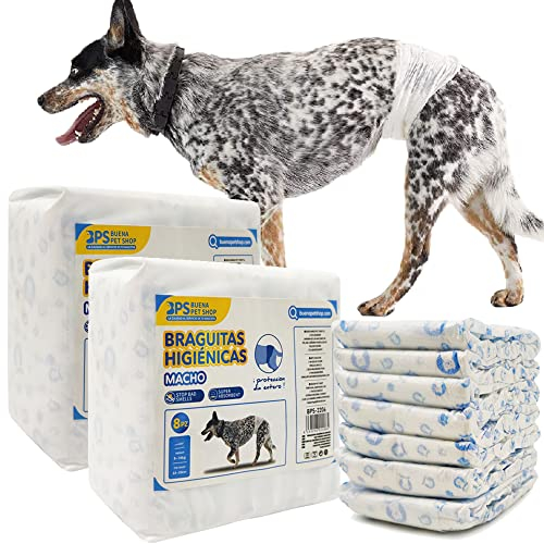 BPS 16 Stück Einweg-Windeln für Hunde, Haustiere, Training, super saugfähig, hygienisch, 4 Größen (M) BPS-2205 x 2